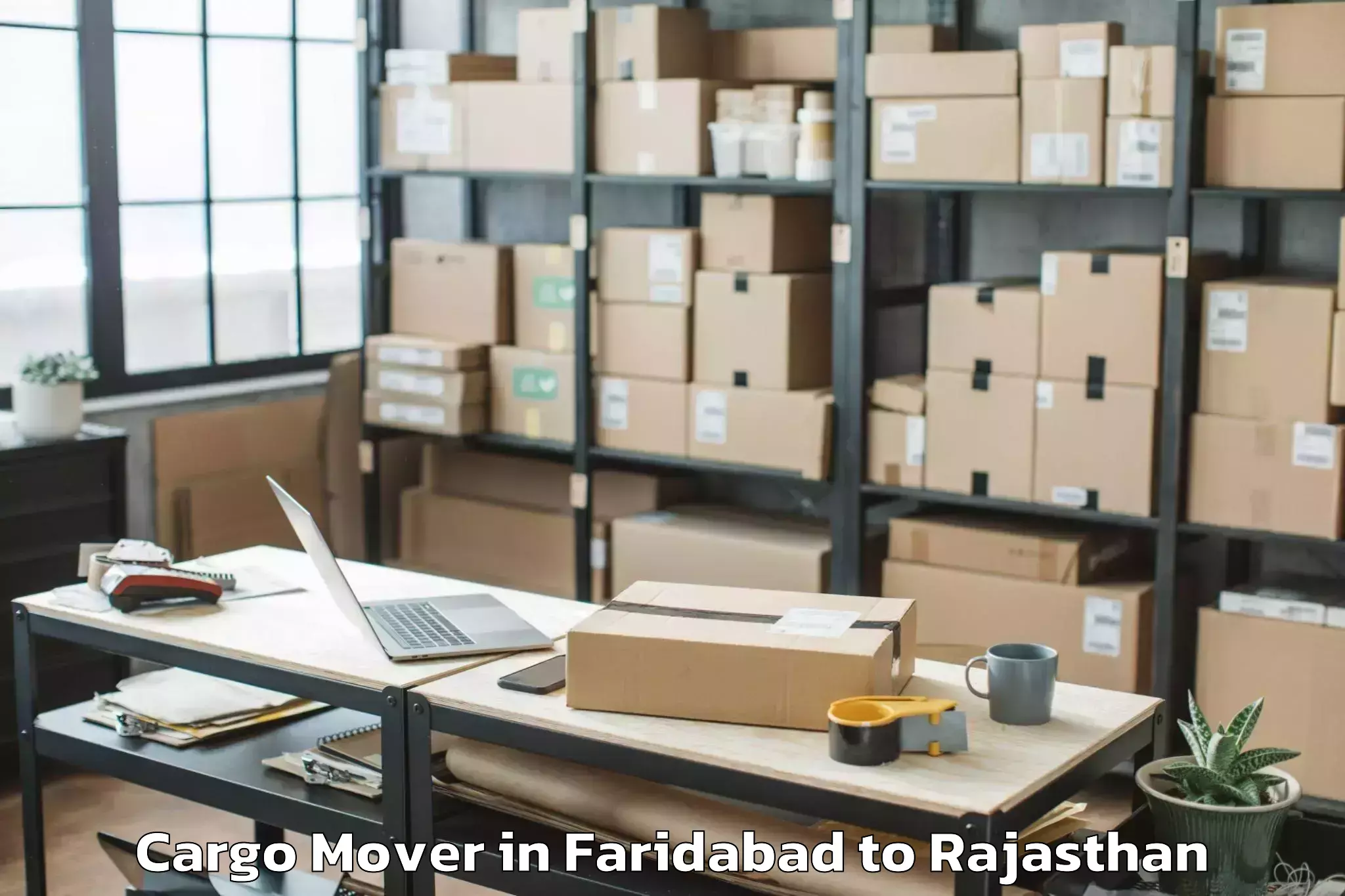 Discover Faridabad to Udaipur Airport Udr Cargo Mover